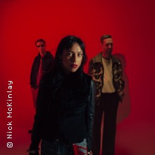 Telenova - The Warning Tour 13.10.2026 YUCA
