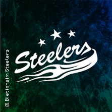 Bietigheim Steelers - Düsseldorfer EG 18.10.2026 EgeTrans Arena