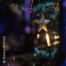 Weihnachtskonzert 2026/27 11.12.2026 Theater Altenburg Gera