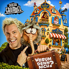 Arena-Ticket - Sascha Grammel - Warum denn nich? 15.10.2027 QUARTERBACK Immobilien ARENA