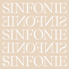 Sinfoniekonzert 2 Montag 09.11.2026 Badisches Staatstheater Karlsruhe