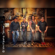 Free Rodgers & Co - Paul Rodgers Tribute 04.12.2026 Irish House