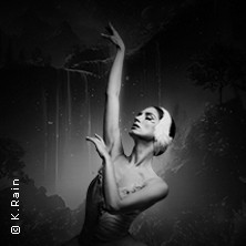 Grand Classic Ballet - Schwanensee - Jenseits der Bühne mit live Streichquartett 10.01.2027 Steintor Variete Halle