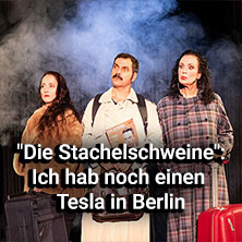 Ich hab' noch einen Tesla in Berlin 22.09.2026 Kabarett-Theater Die Stachelschweine