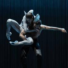 Schwanensee. Rotbarts Geschichte 07.01.2027 Staatsoper Hannover