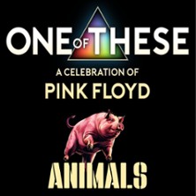 One Of These – A celebration of Pink Floyd / Animals Tour 04.12.2026 Forum Daun