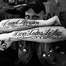 Los Fastidios, Cian Downing 16.01.2027 Die Trompete